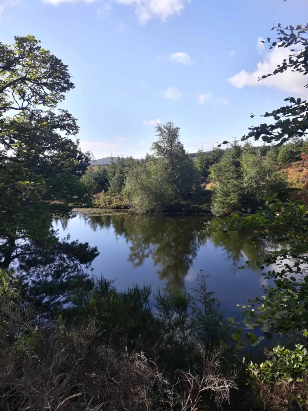 An image of this adventure