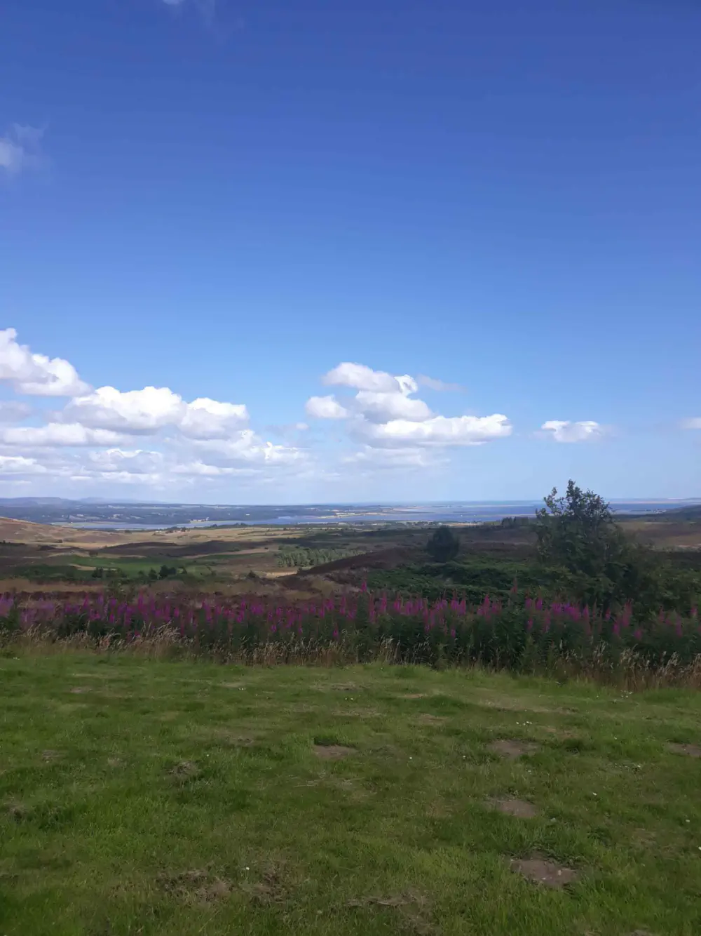 An image of this adventure