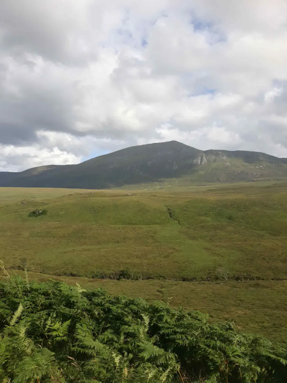 An image of this adventure