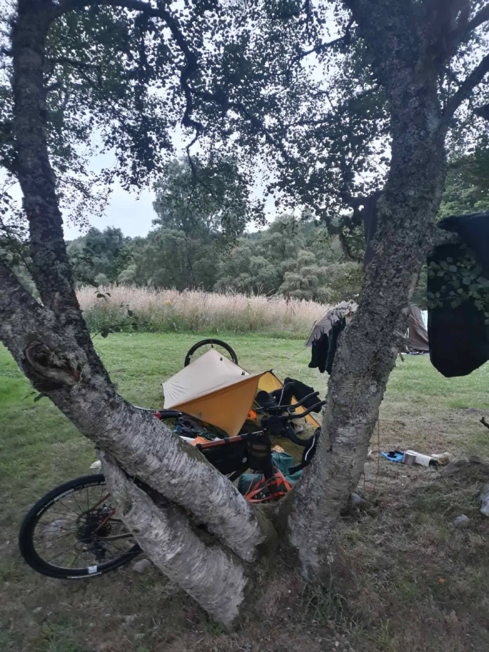 An image of this adventure