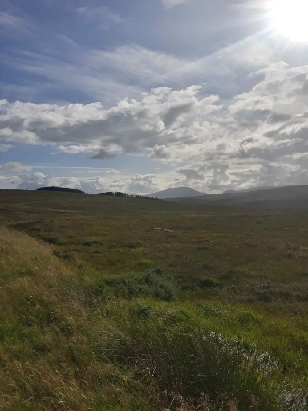 An image of this adventure