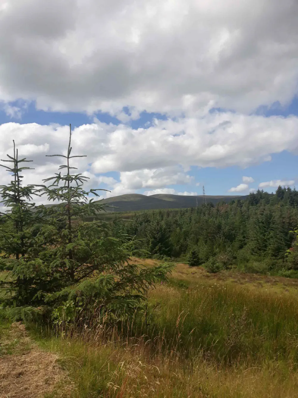 An image of this adventure