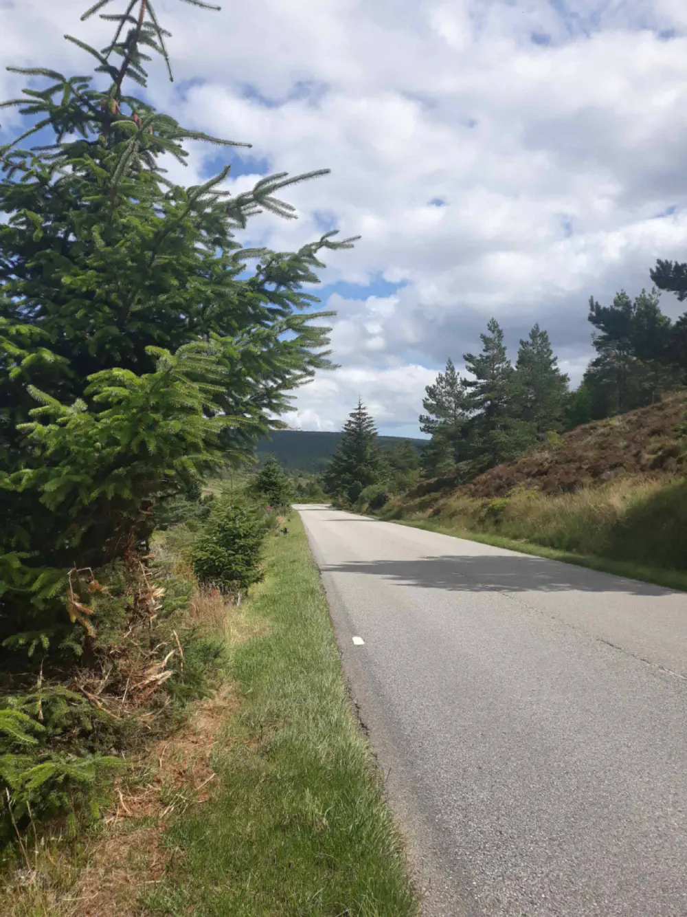 An image of this adventure