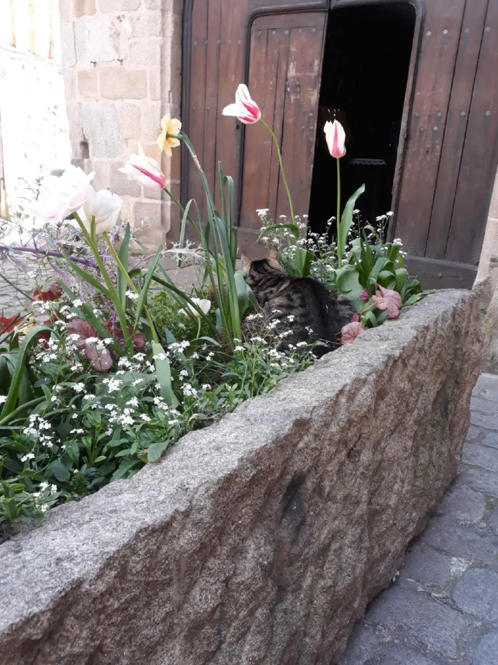 An image of this adventure