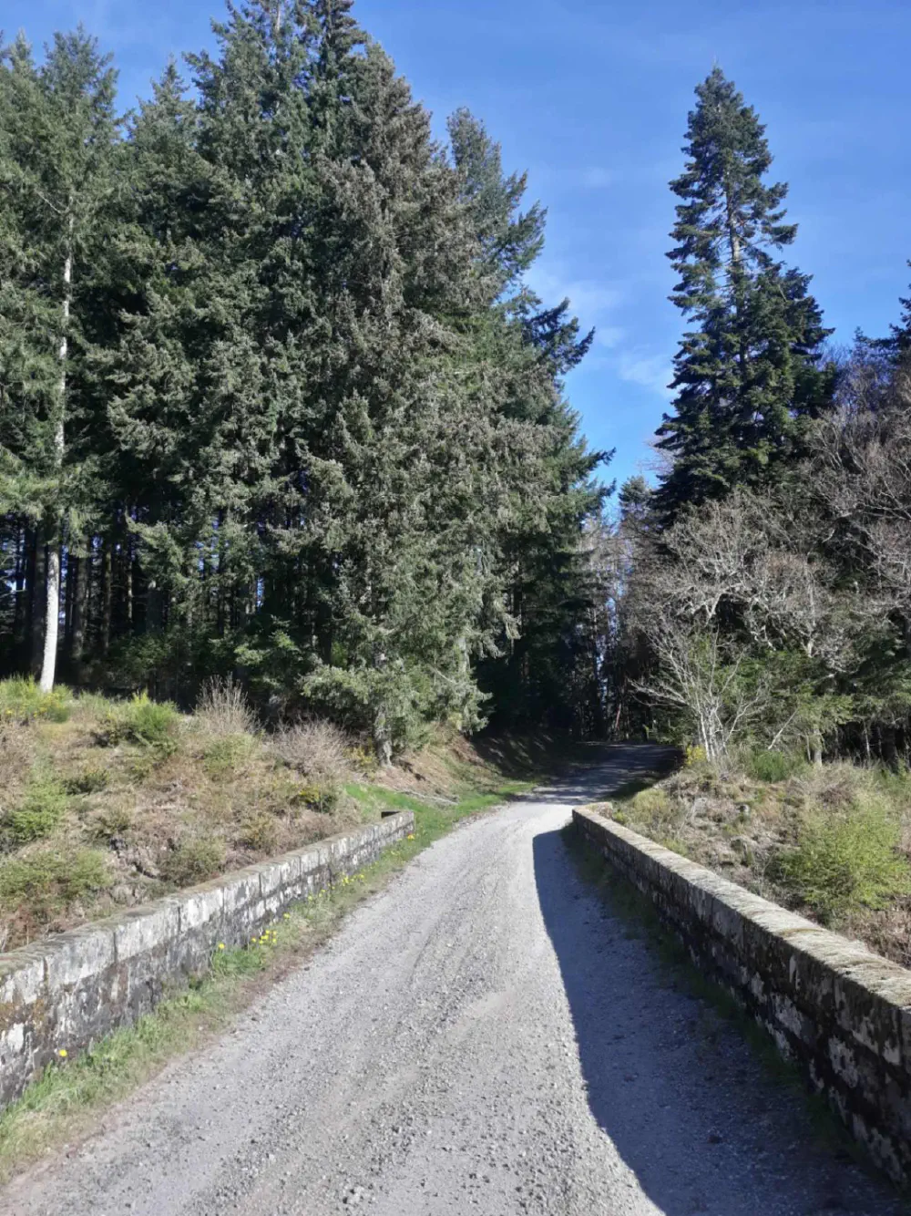 An image of this adventure